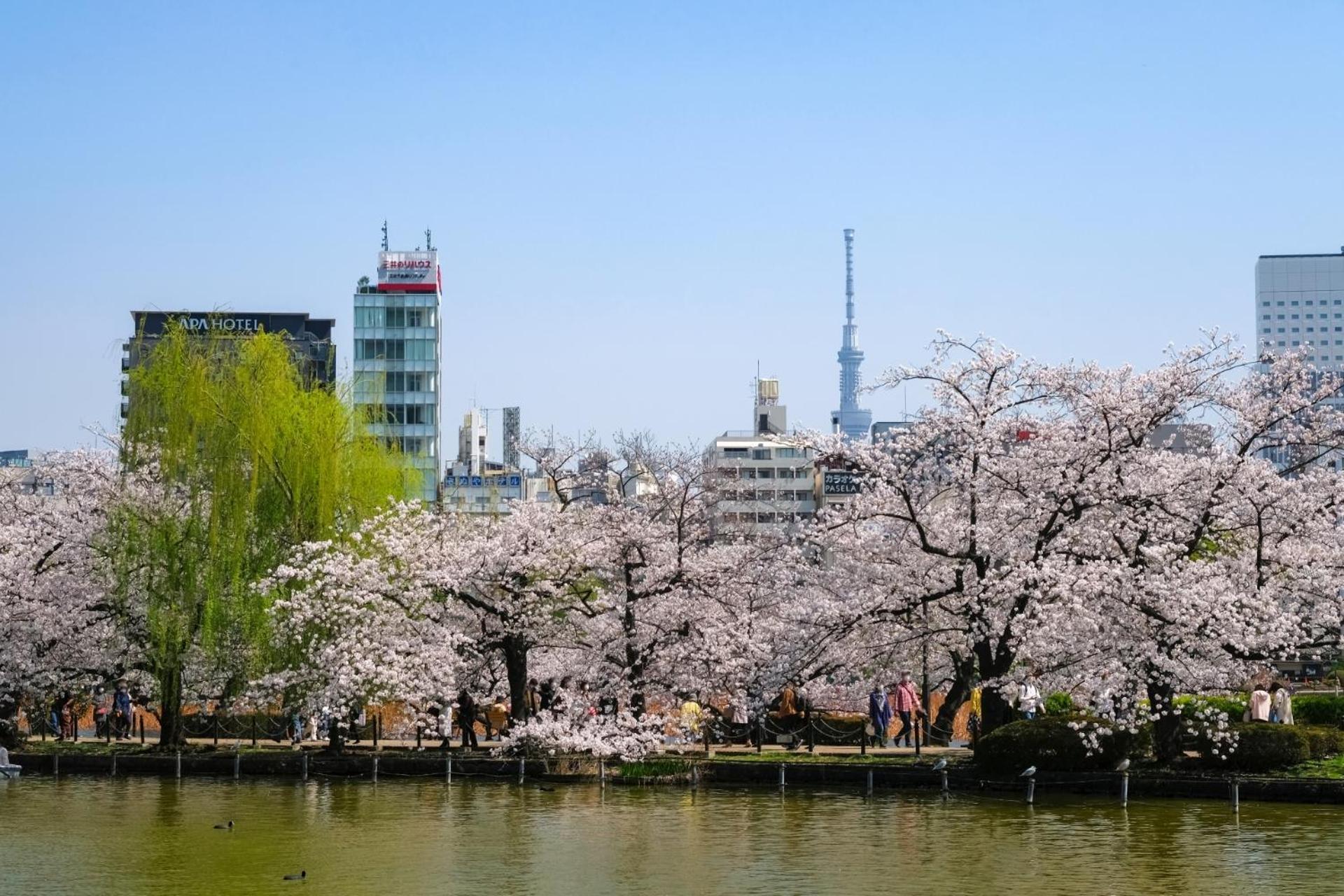 Stayme The Hotel Ueno Токио Экстерьер фото